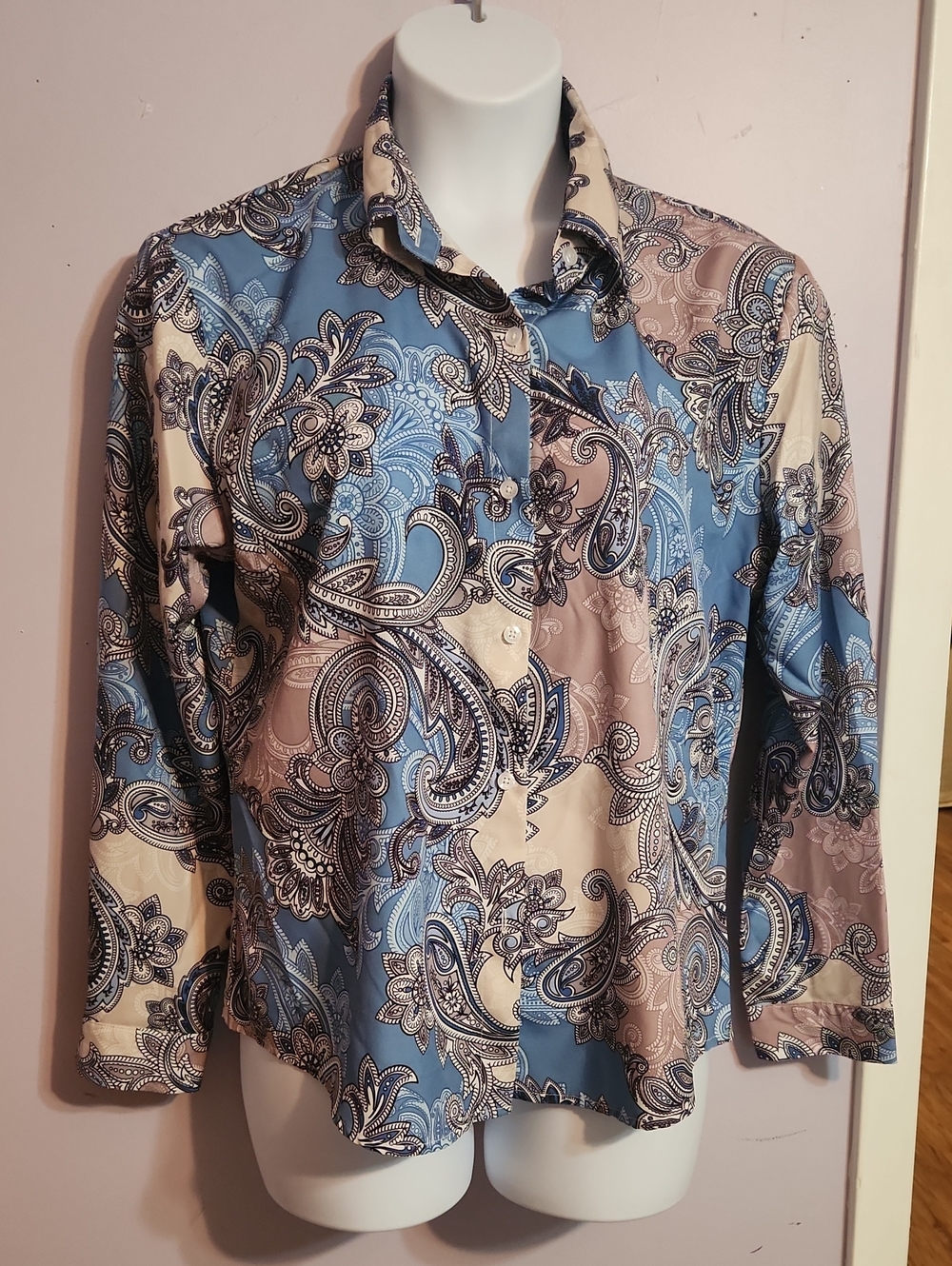 Paisley Button Down in Blue & Pink